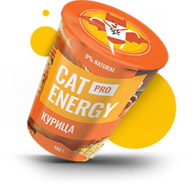 банка с продуктом Cat Energy